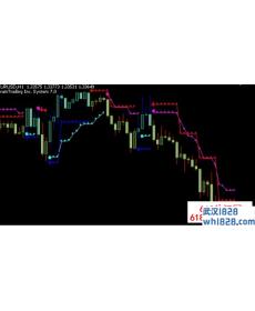 Brain外汇交易系统下载