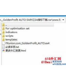 GoldenProfit AUTO EA抗单边行情的外汇EA下载