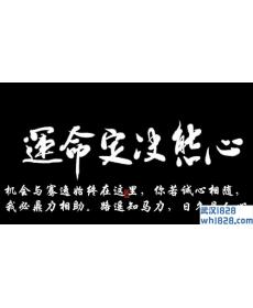 选举顶上加息,下周注定不平静,多头上涨必定还有一波