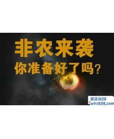 11.2非农来袭黄金还会继续涨吗?黄金操作建议附解套小技巧!