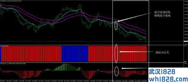 50EMA通道外汇交易系统下载