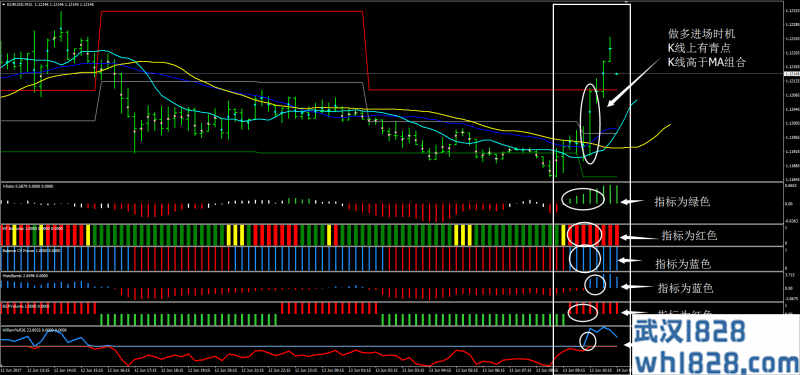 KiwiK外汇交易系统