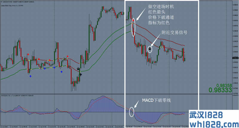 黑狗外汇交易系统下载