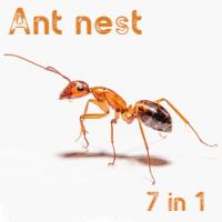 MT4-Ant nest 7 in 1