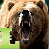MT5-Bears MACD MT5