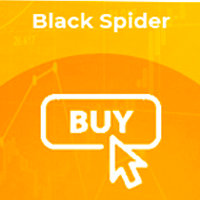 MT4-Black Spider