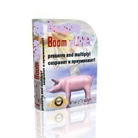 MT4-Boom