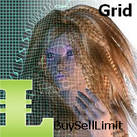 MT5-BuySellLimit  N Grid MT5
