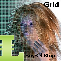 MT5-BuyStop and SellStop Grid MT5
