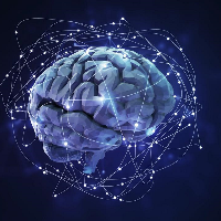 MT5-Neural network NGZ