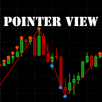 MT4-Pointer View