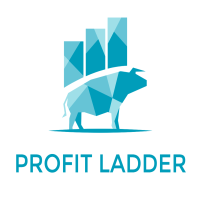 MT5-Profit Ladder Mt5 EA