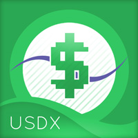 MT5-Quantum US Dollar Index Indicator for MT5