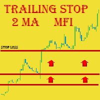 MT4-Triple Trailer